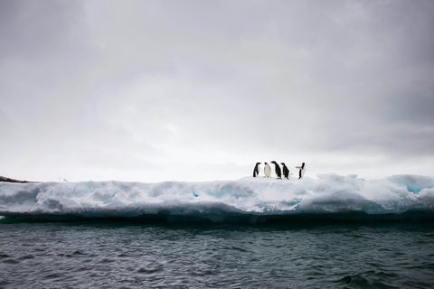 The Best Time to Visit Antarctica — a Luxury Expedition Guide