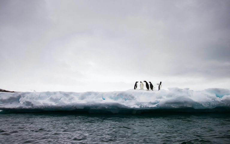 The Best Time to Visit Antarctica — a Luxury Expedition Guide