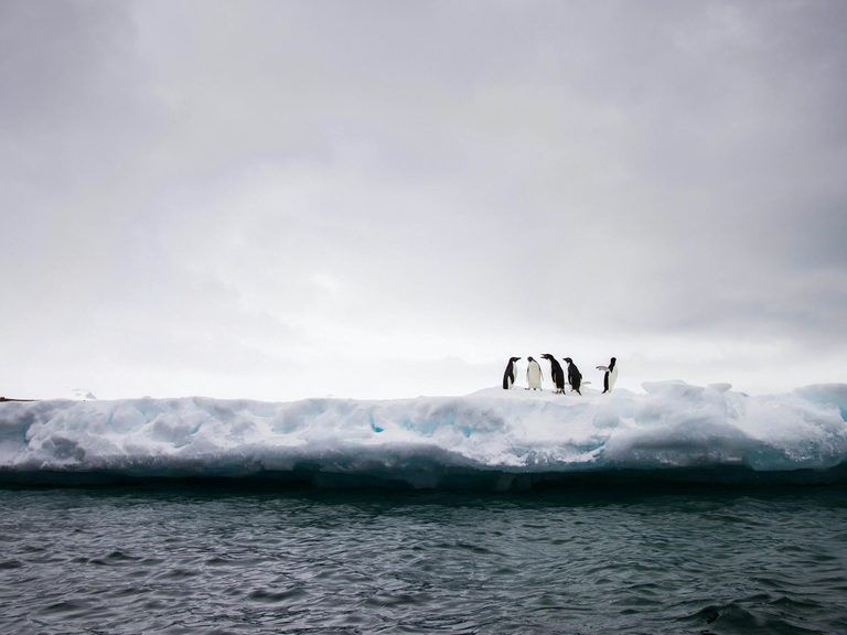 The Best Time to Visit Antarctica — a Luxury Expedition Guide