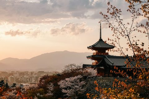 The Best Time to Visit Japan — Cherry Blossom, Autumn and Beyond