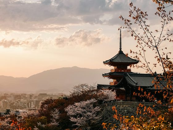 A Luxury Family Trip to Japan — With Children and Grandparents