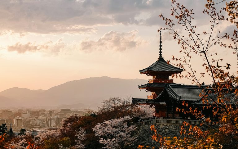 The Best Time to Visit Japan — Cherry Blossom, Autumn and Beyond