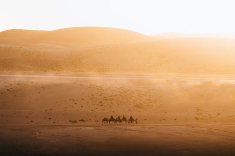 Egypt vs Morocco: Which Is Better for a Luxury North Africa Journey?