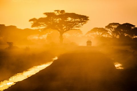 Kenya vs Tanzania: Which Is Better for a Luxury Safari?