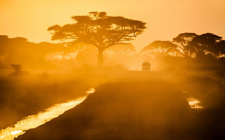 Kenia o Tanzania: ¿cuál es mejor para un safari de lujo?
