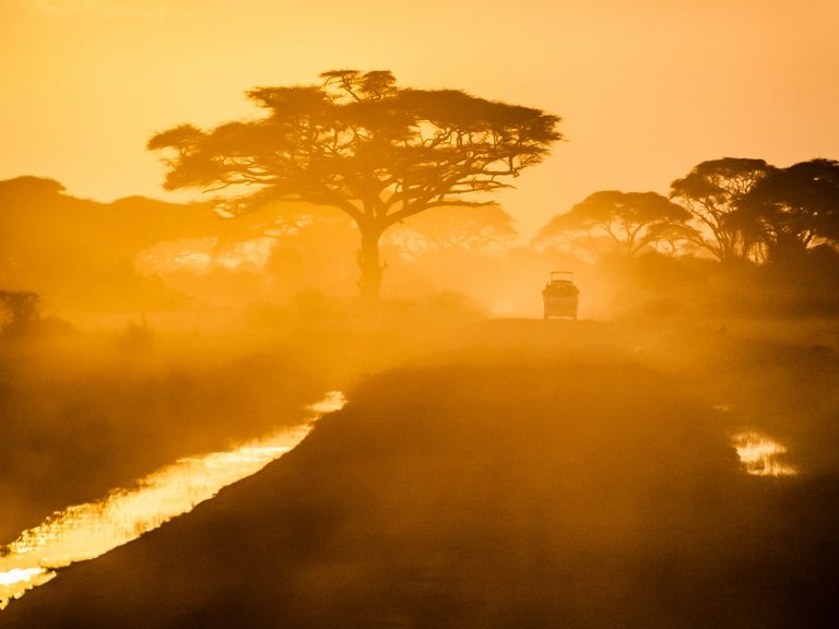 Kenia o Tanzania: ¿cuál es mejor para un safari de lujo?