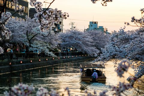 The Best Luxury Travel in Spring — Shoulder-Season Access Before the Crowds