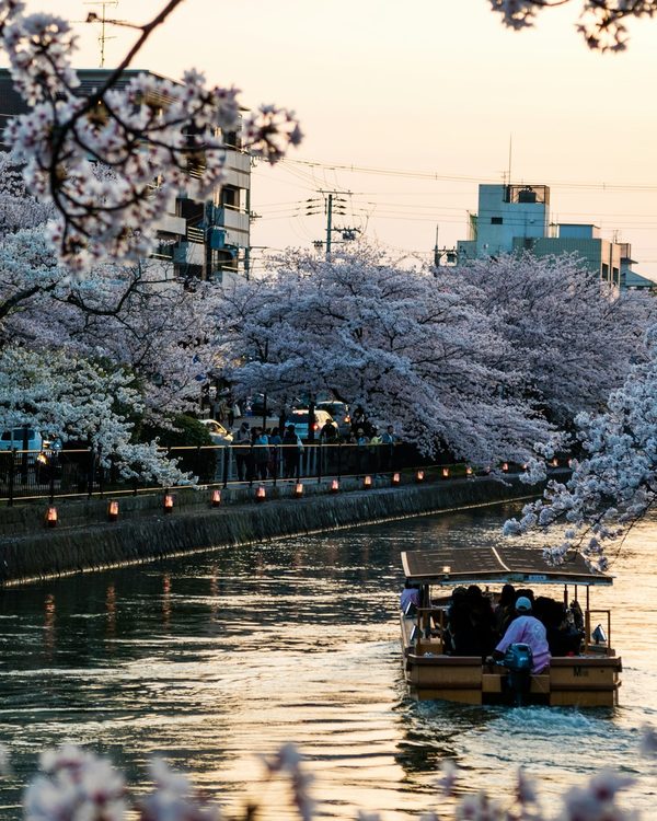 Spring Travel