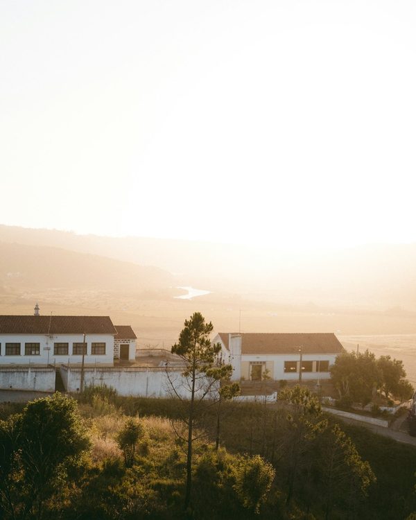 Wellness & Retreats