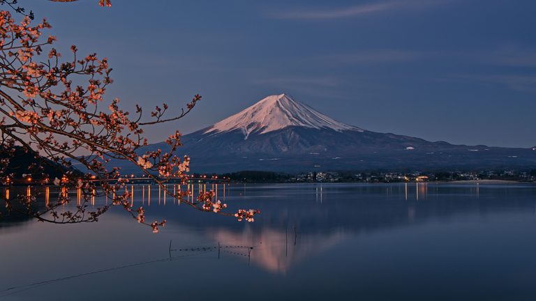 Luxury travel by Forest Travel