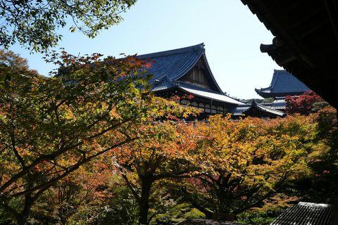 Cómo es viajar a Japón con una agencia de lujo — accesos privados, templos y lo que no está en internet