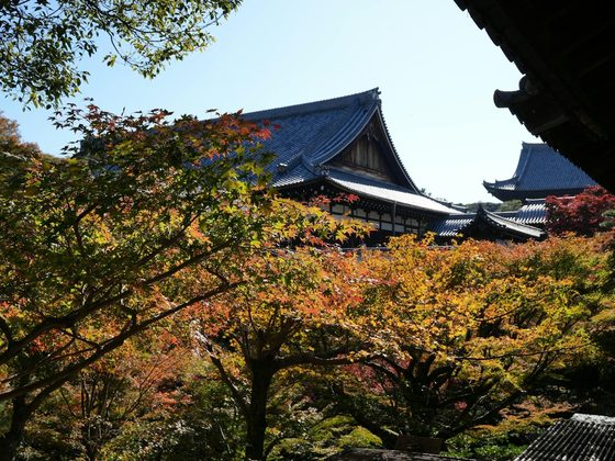 What Luxury Travel in Japan Is Really Like — Private Access, Temples and the Unlisted