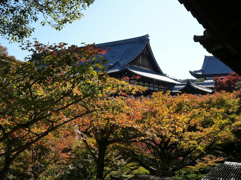 What Luxury Travel in Japan Is Really Like — Private Access, Temples and the Unlisted
