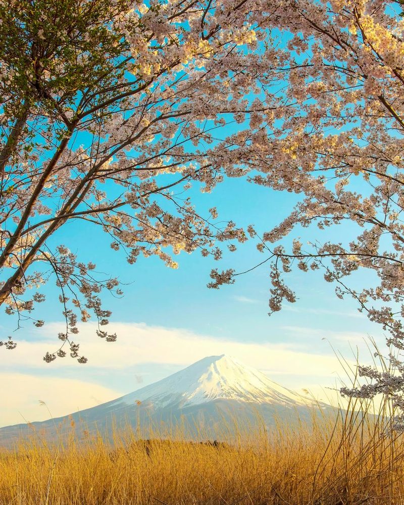 Japan & Southeast Asia Itinerary — Private Luxury Travel