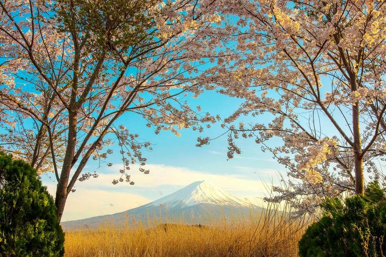 Japan & Southeast Asia — luxury travel by Forest Travel