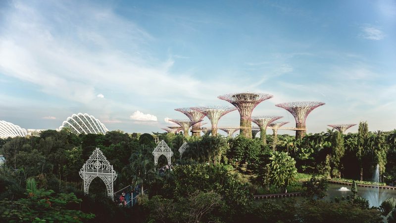 Jardines y Familia — Singapur