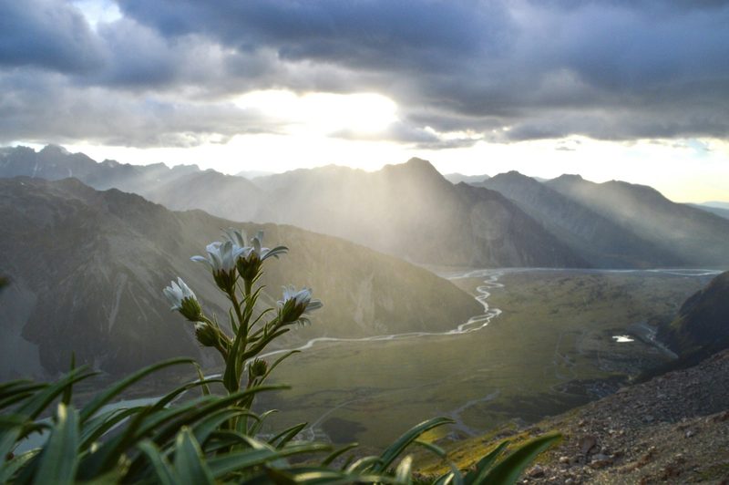 New Zealand Lodges — Australia & New Zealand
