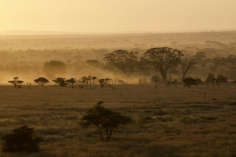 Photographic Safari — Safaris