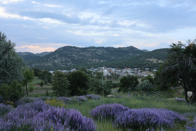 Provence & the Countryside — France