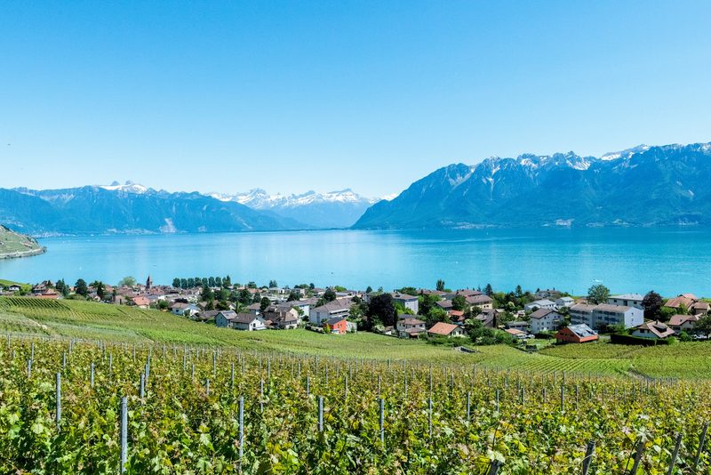 El Viaje de la Longevidad — Suiza
