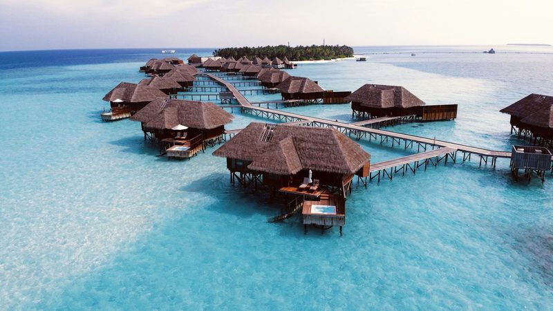 The Maldives Honeymoon — The Maldives