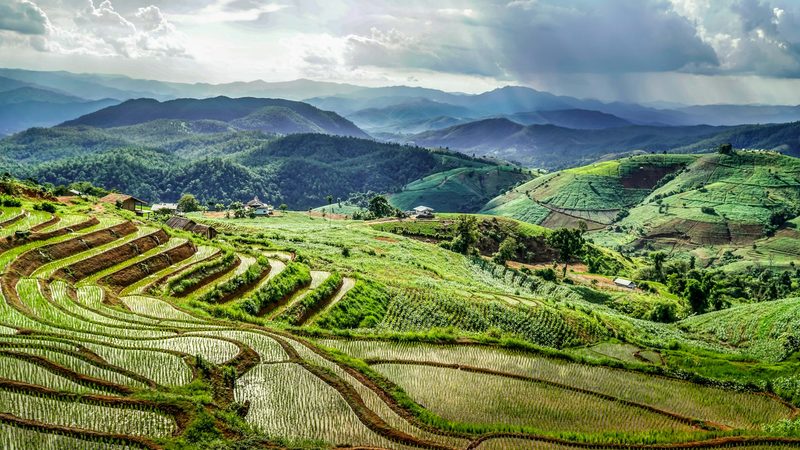 El Norte y el Bienestar — Tailandia