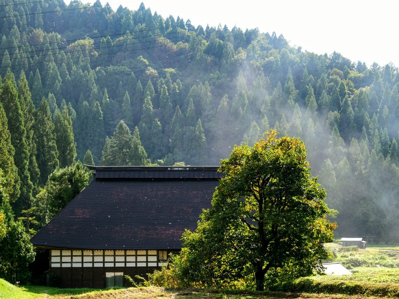 Wellness Japan — Japan