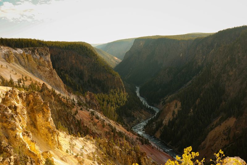 Wild America — United States