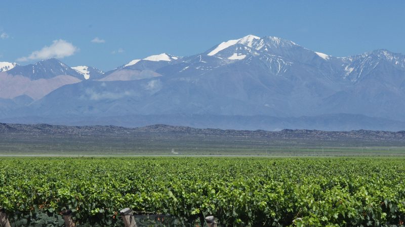 Wine Routes — Latin America