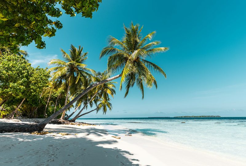 Winter Sun in the Maldives — The Maldives