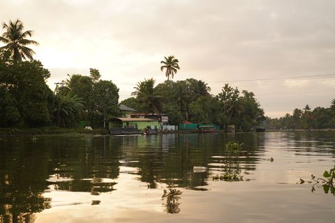 Backwaters & Calm