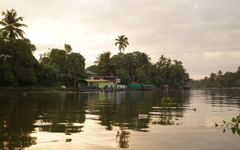 Backwaters & Calm