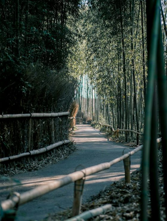 Kyoto