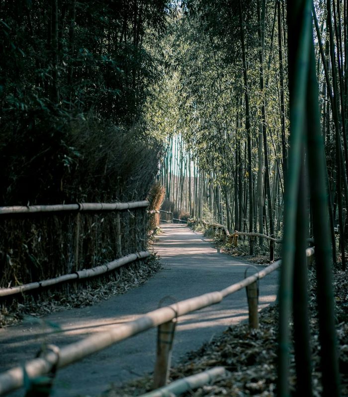 Kyoto — Kansai
