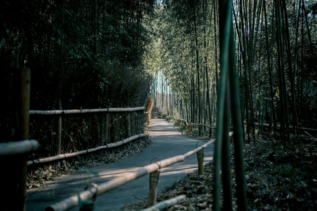 Japan, in the Quiet Season
