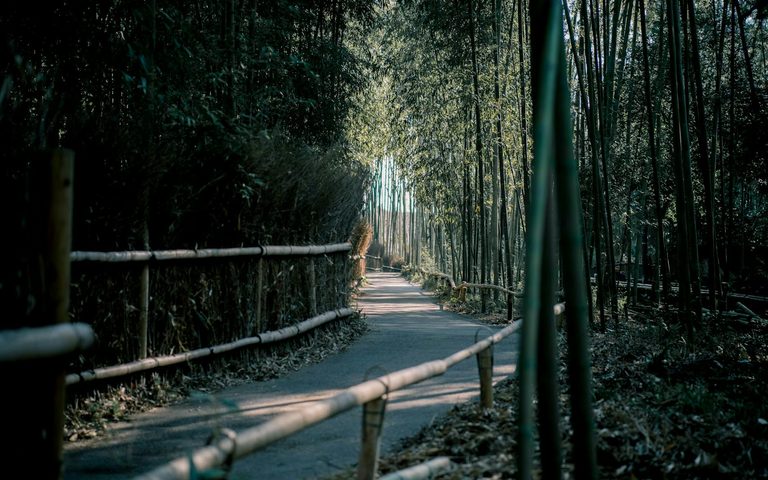 Kyoto — luxury travel by Forest Travel