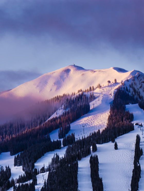 Aspen