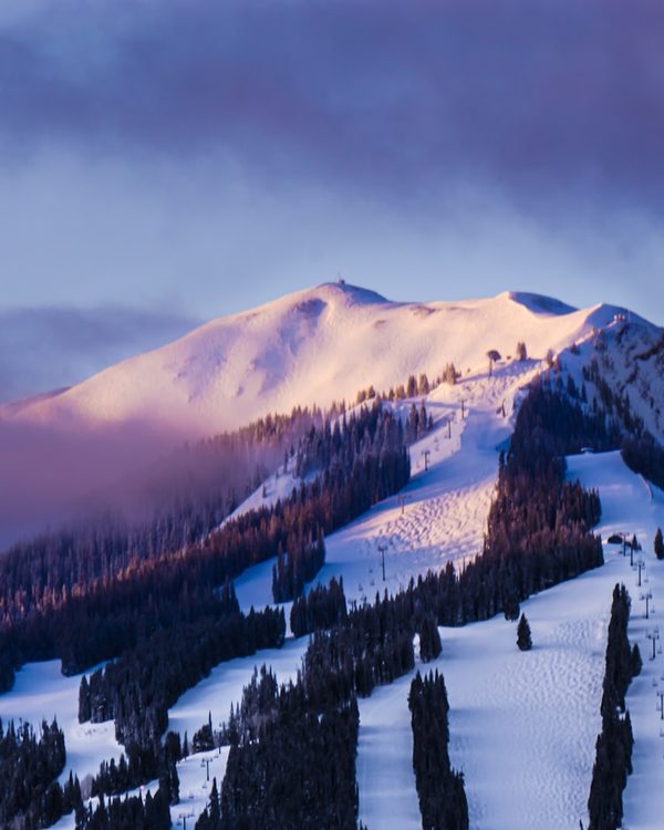 Aspen