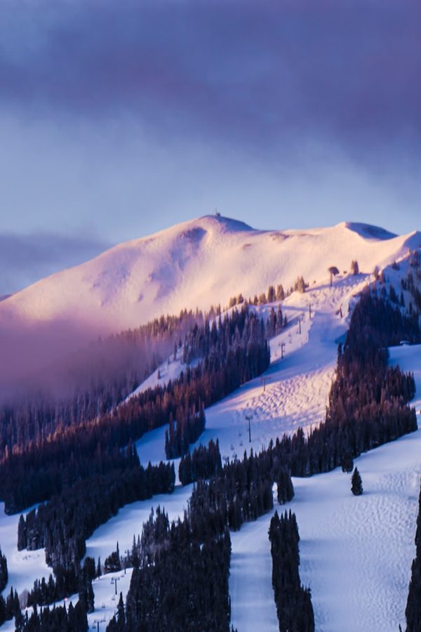 Aspen