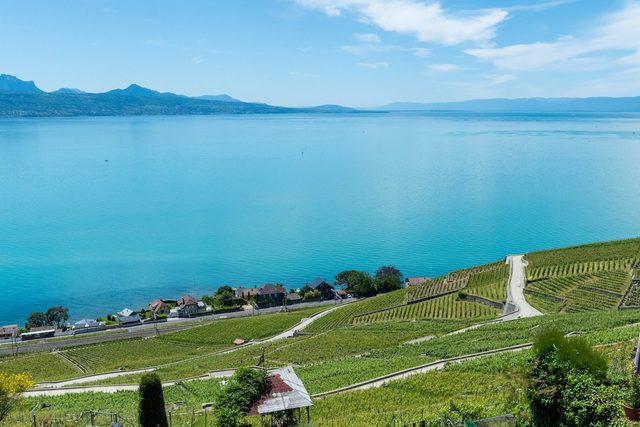 Lavaux en Barco