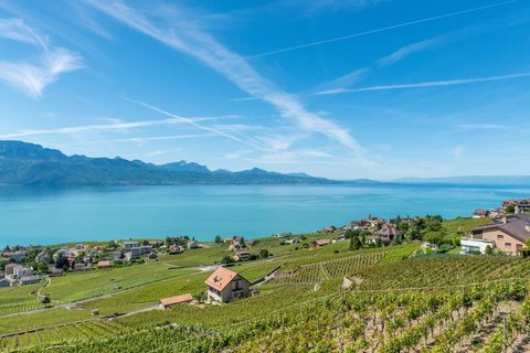 Vineyards & Lakeshore