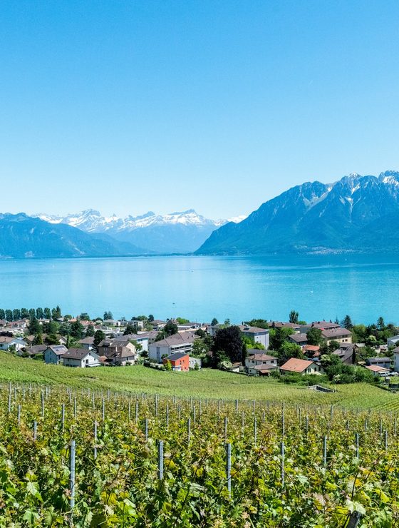 Lake Geneva