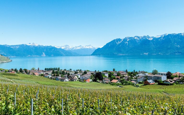 Lake Geneva — luxury travel by Forest Travel