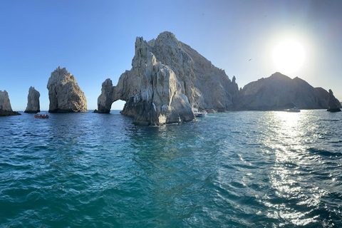 The Baja Honeymoon