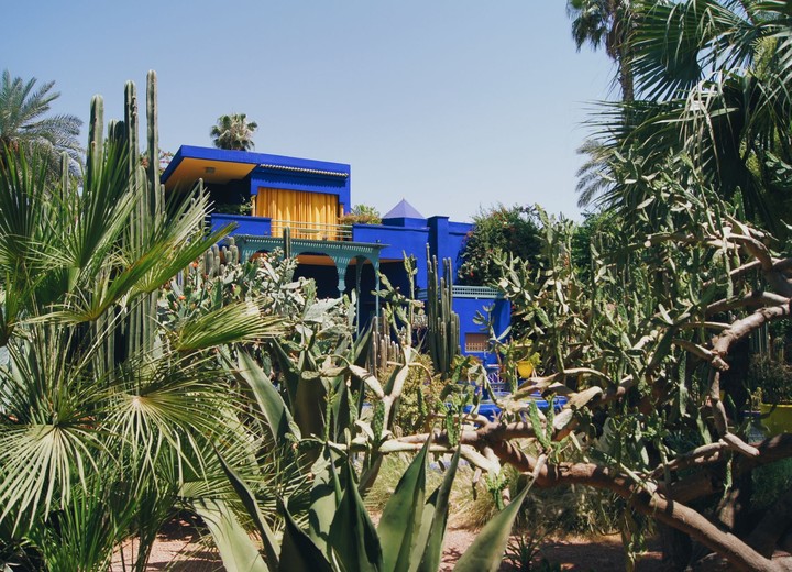 Gardens & Design