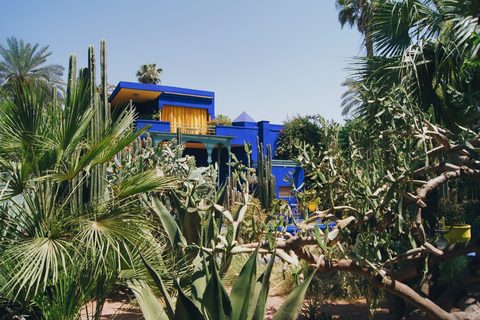 Gardens & Design