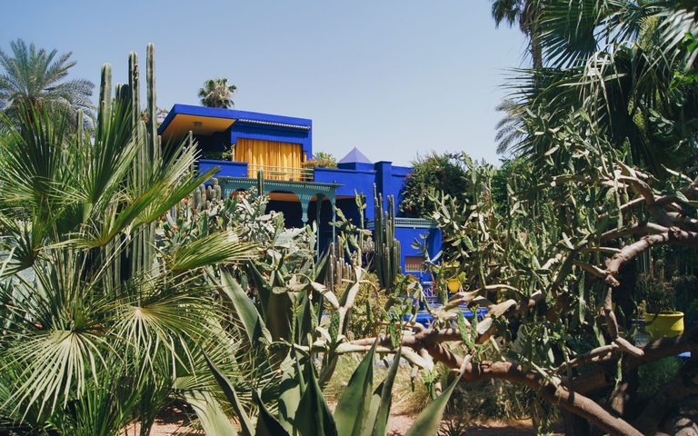 Gardens & Design