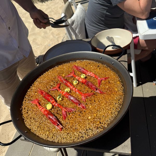 Comporta, Portugal