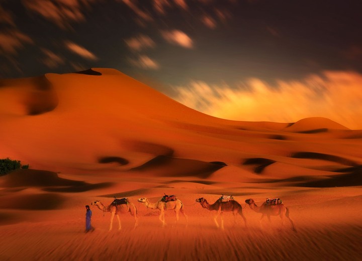 The Sahara, Privately