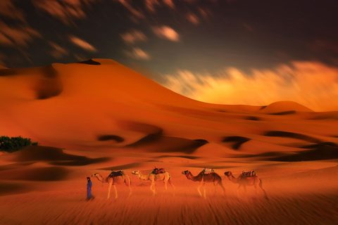 The Sahara, Privately